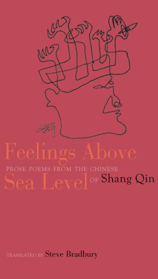 Feelings Above Sea Level