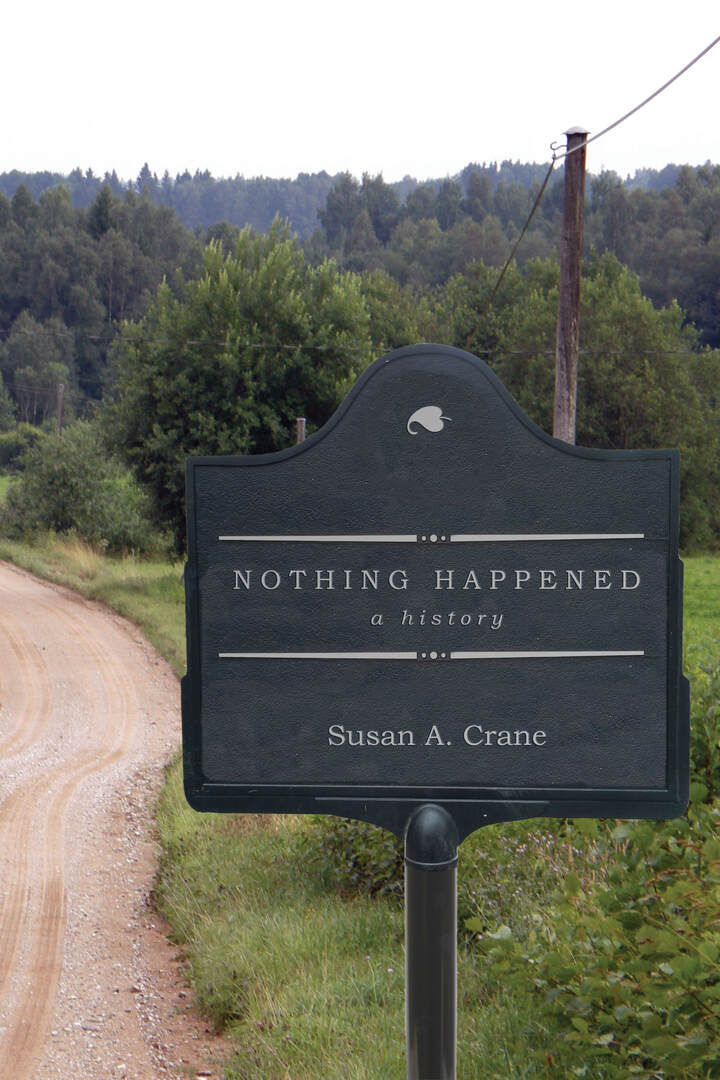 Cover image for Nothing Happened ISBN 9781503613478