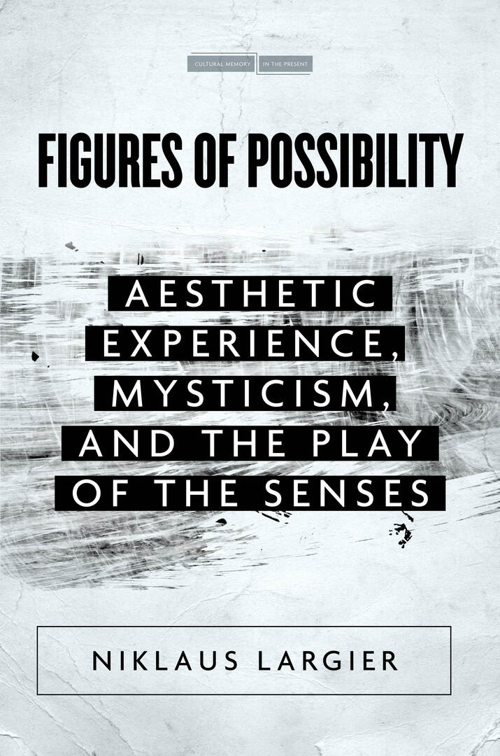 Cover image for Figures of Possibility ISBN 9781503631045
