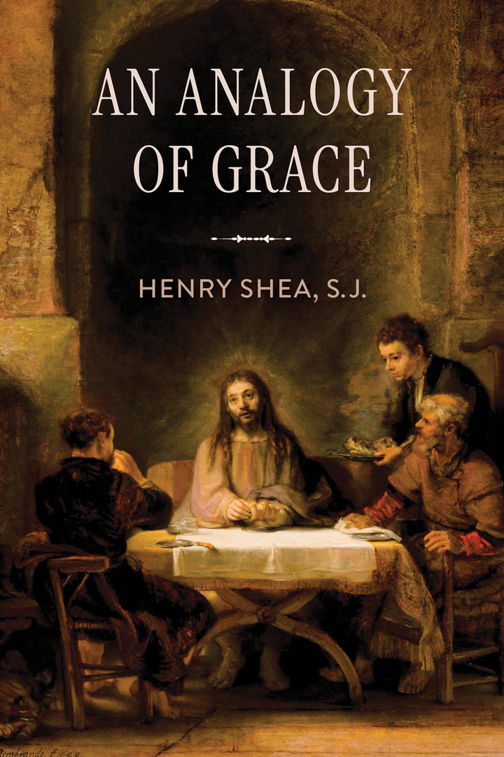 Cover image for An Analogy of Grace ISBN 9780268208639