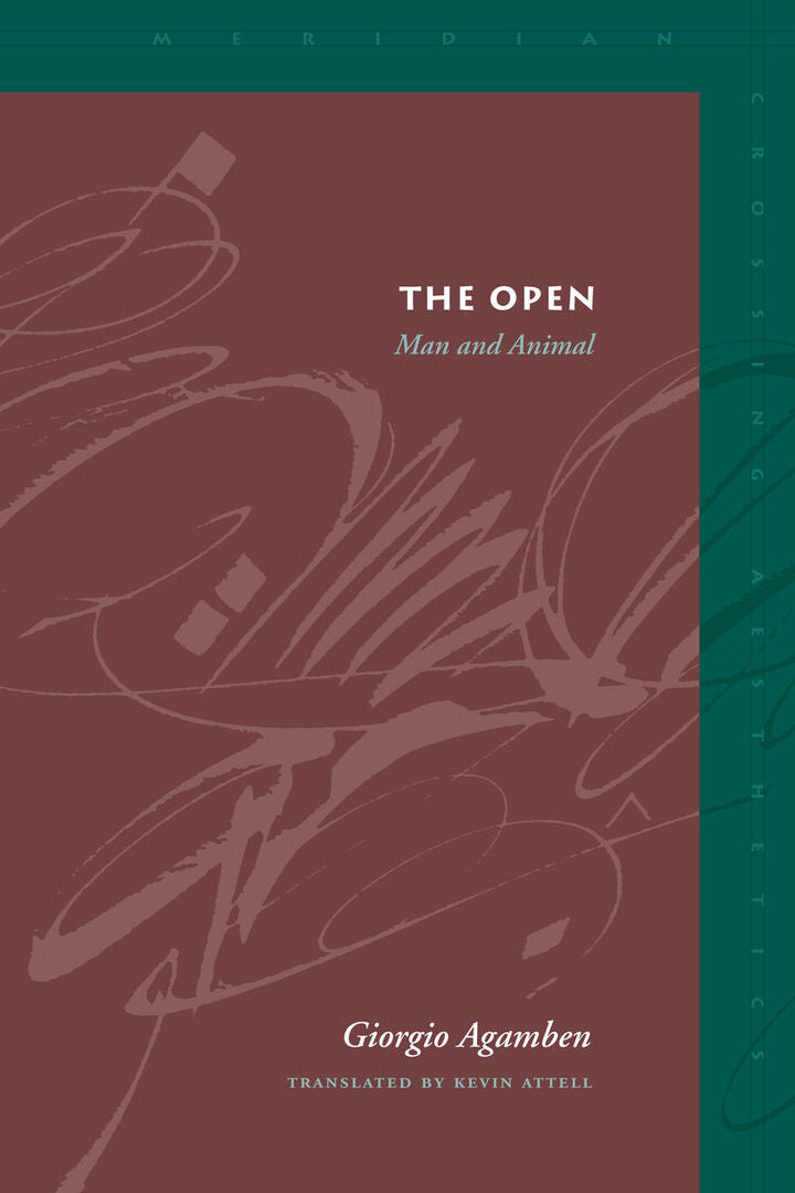 Cover image for The Open ISBN 9780804747387