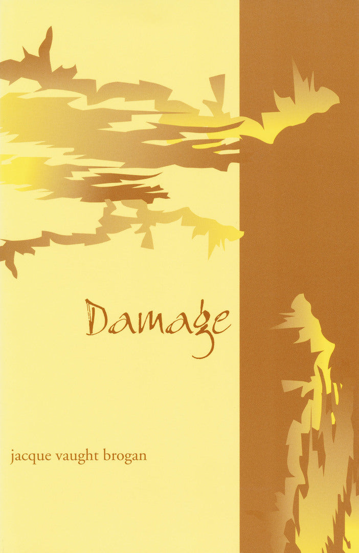 Cover image for Damage ISBN 9780268025618