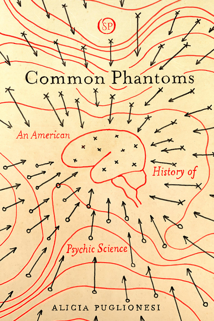 Cover image for Common Phantoms ISBN 9781503612778