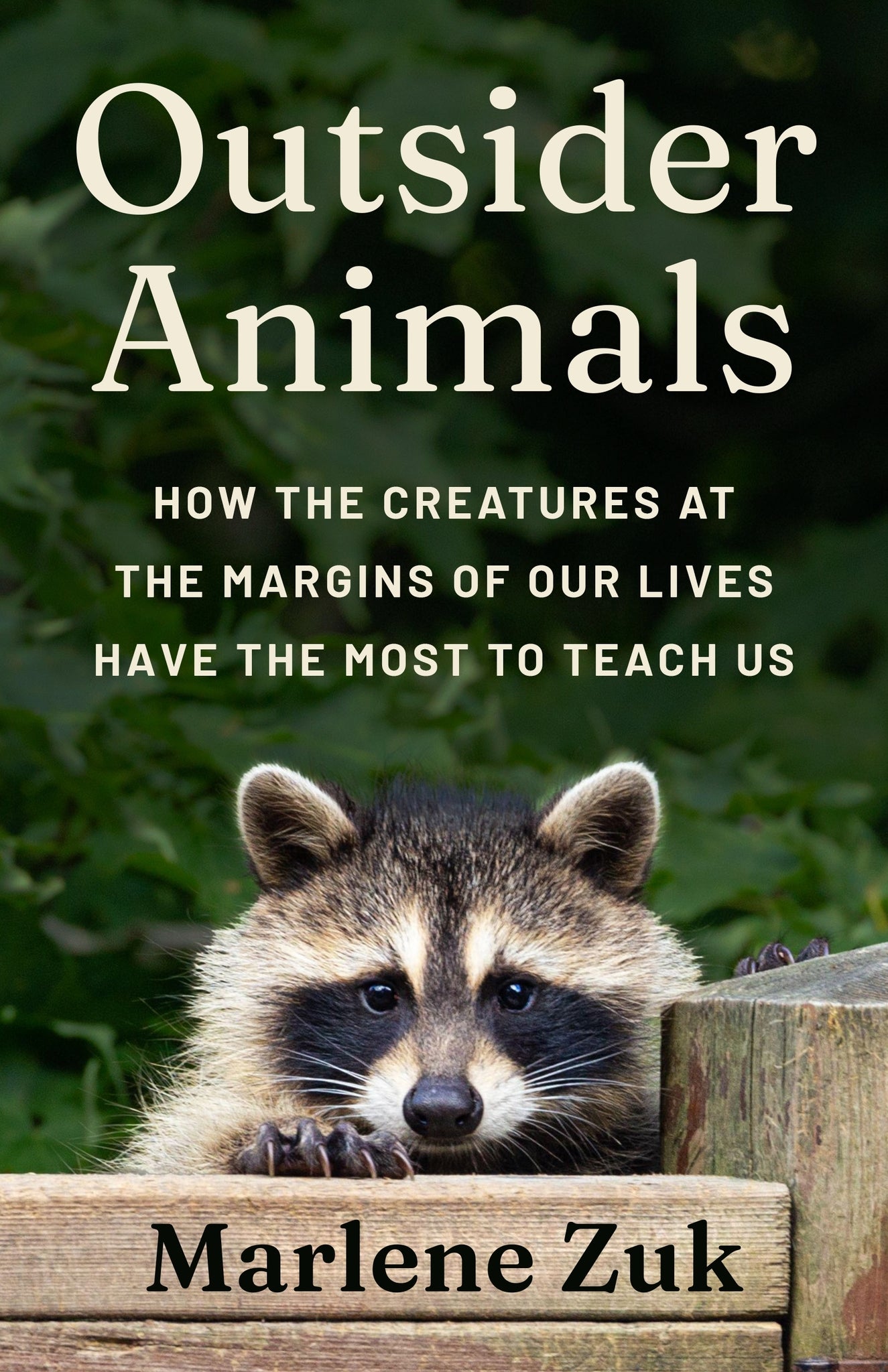 Outsider Animals