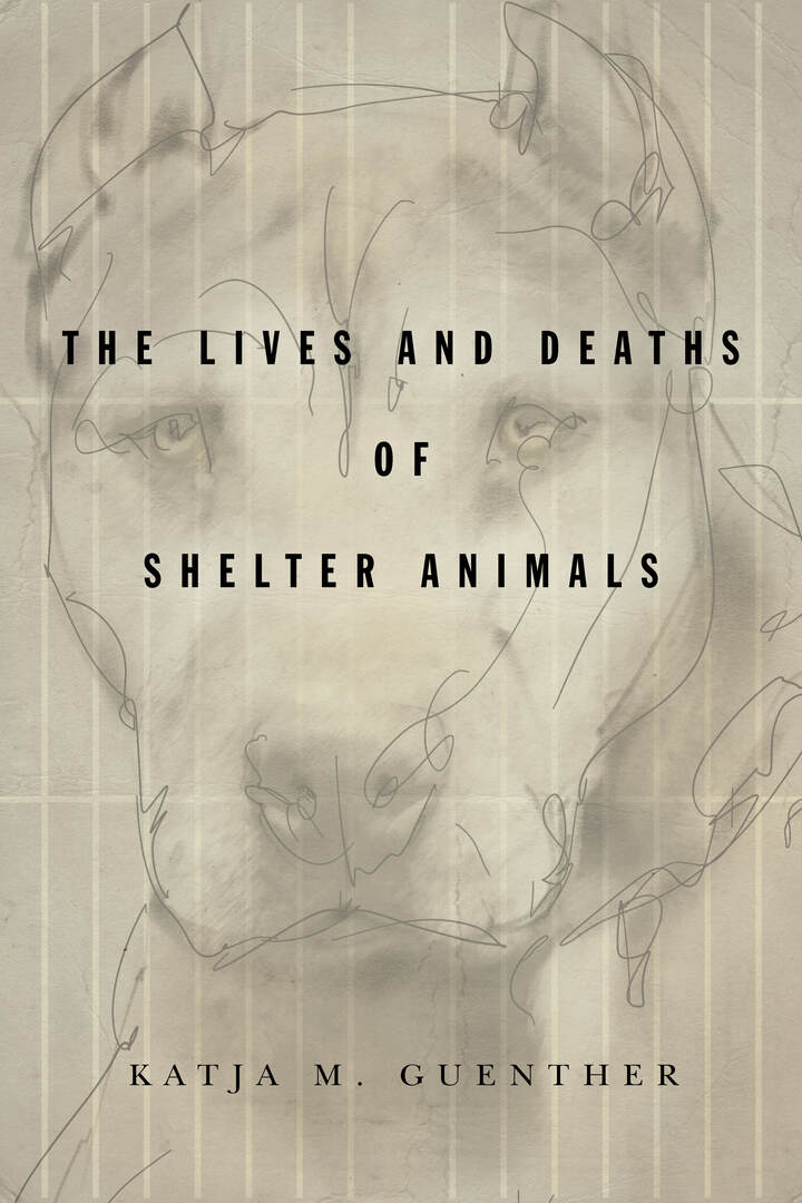 Cover image for The Lives and Deaths of Shelter Animals ISBN 9781503612853