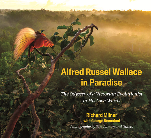 Alfred Russel Wallace in Paradise