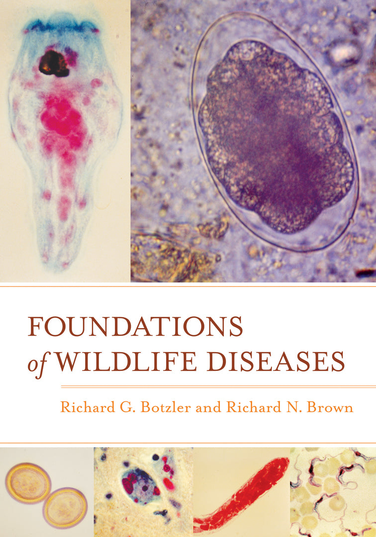 Cover image for Foundations of Wildlife Diseases ISBN 9780520276093