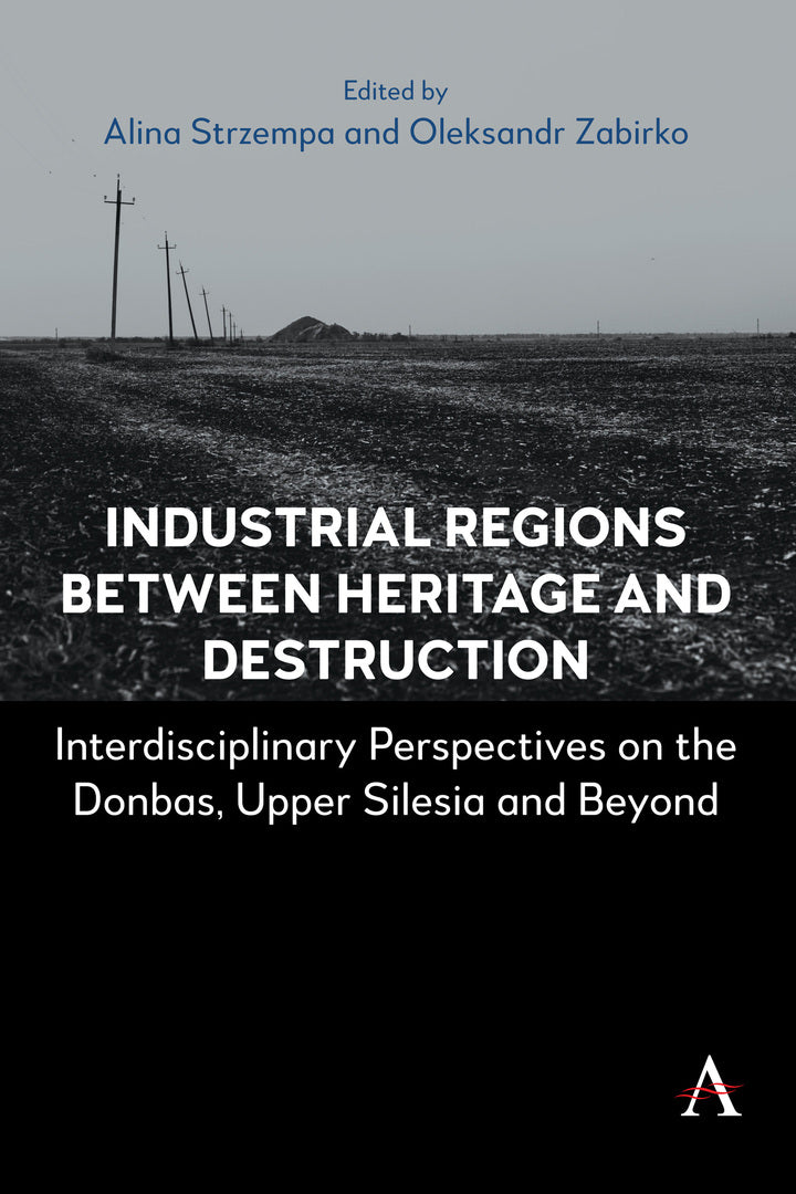 Cover image for Industrial Regions Between Heritage and Destruction ISBN 9781801361002