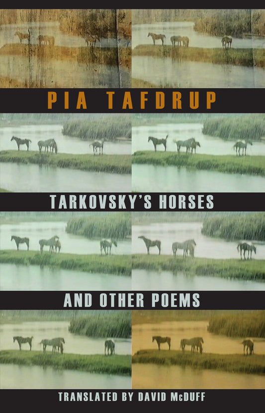Tarkovsky's Horses and other poems