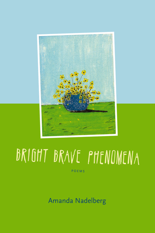 Bright Brave Phenomena