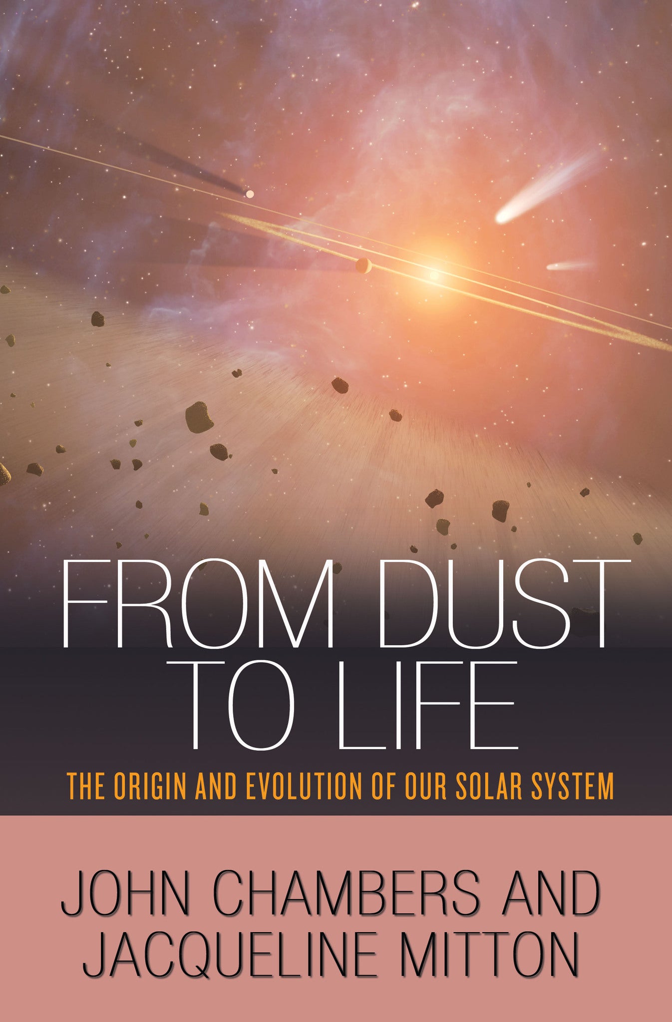 From Dust to Life