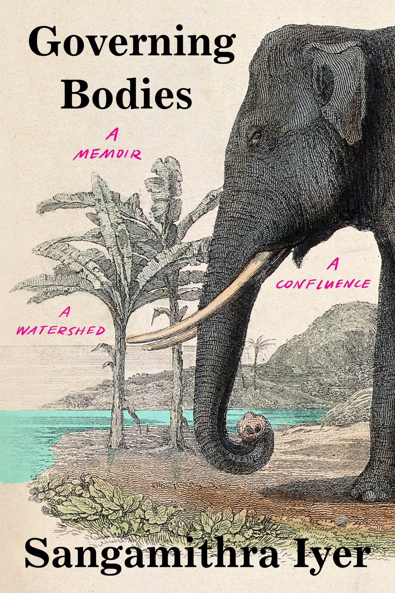Governing Bodies