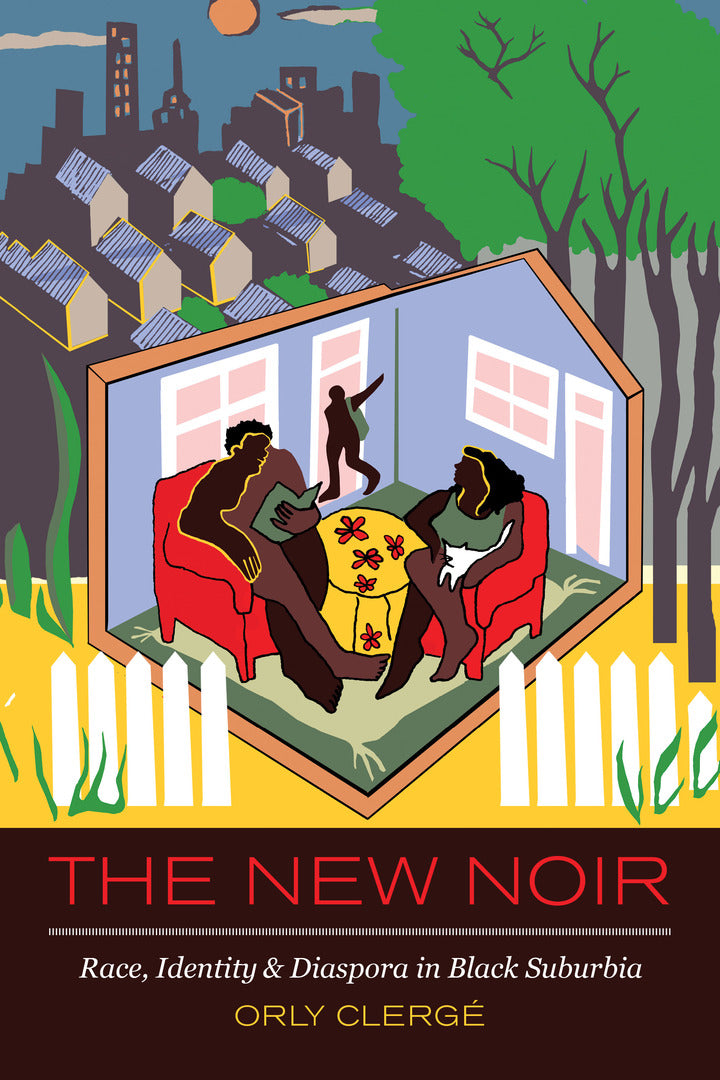 Cover image for The New Noir ISBN 9780520296787