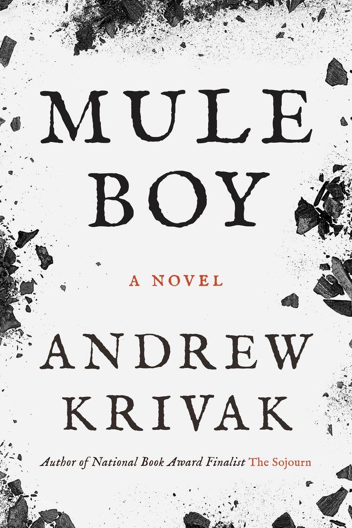 Cover image for Mule Boy ISBN 9781954276468