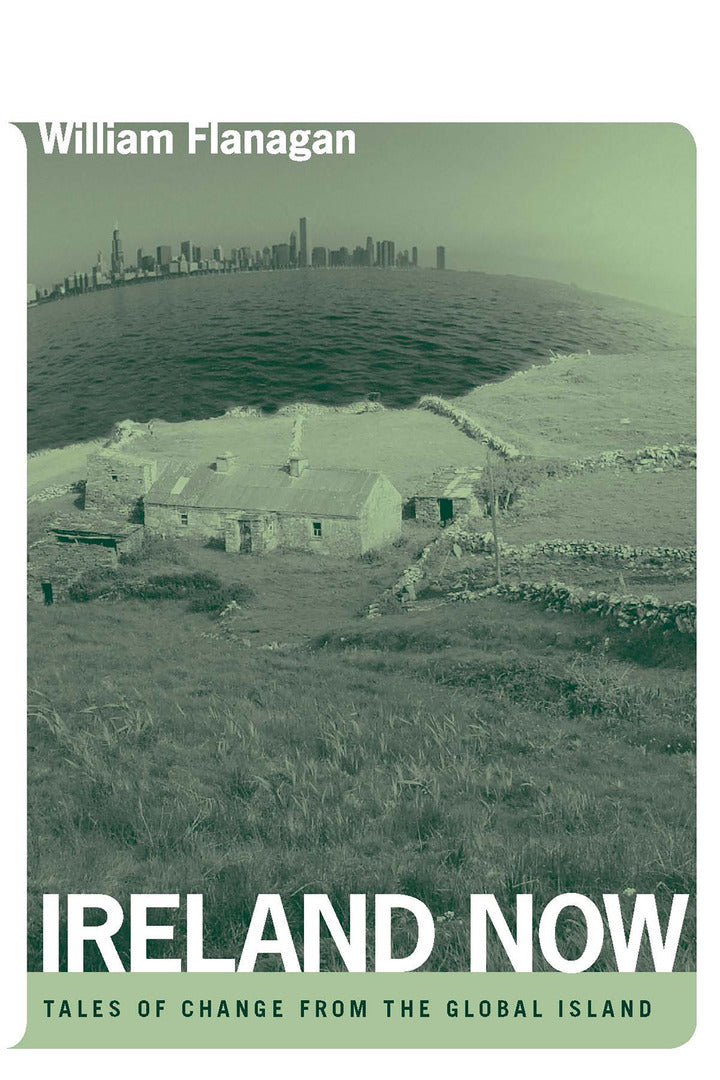 Cover image for Ireland Now ISBN 9780268028862