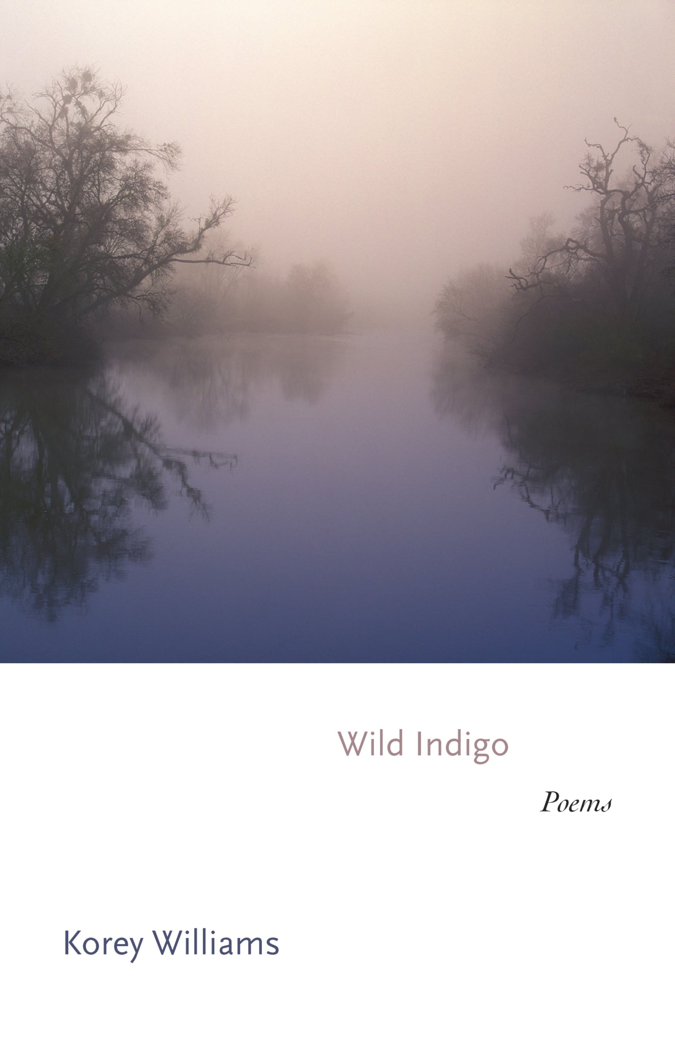 Wild Indigo