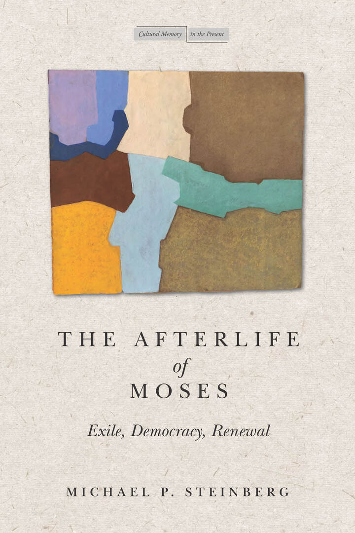 Cover image for The Afterlife of Moses ISBN 9781503632295