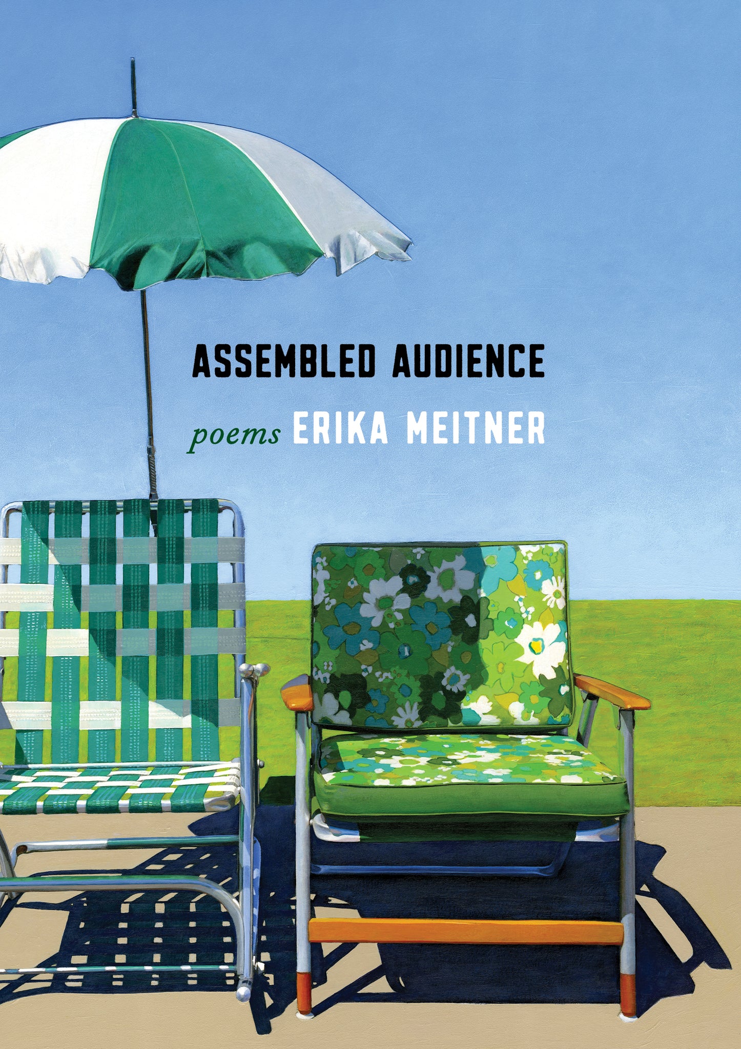 Assembled Audience