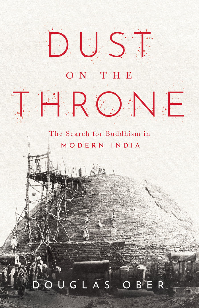 Cover image for Dust on the Throne ISBN 9781503635036