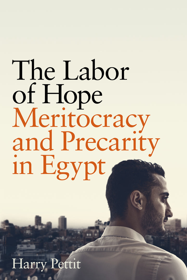 Cover image for The Labor of Hope ISBN 9781503637443