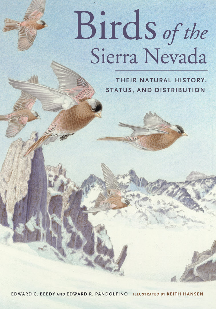 Cover image for Birds of the Sierra Nevada ISBN 9780520274945