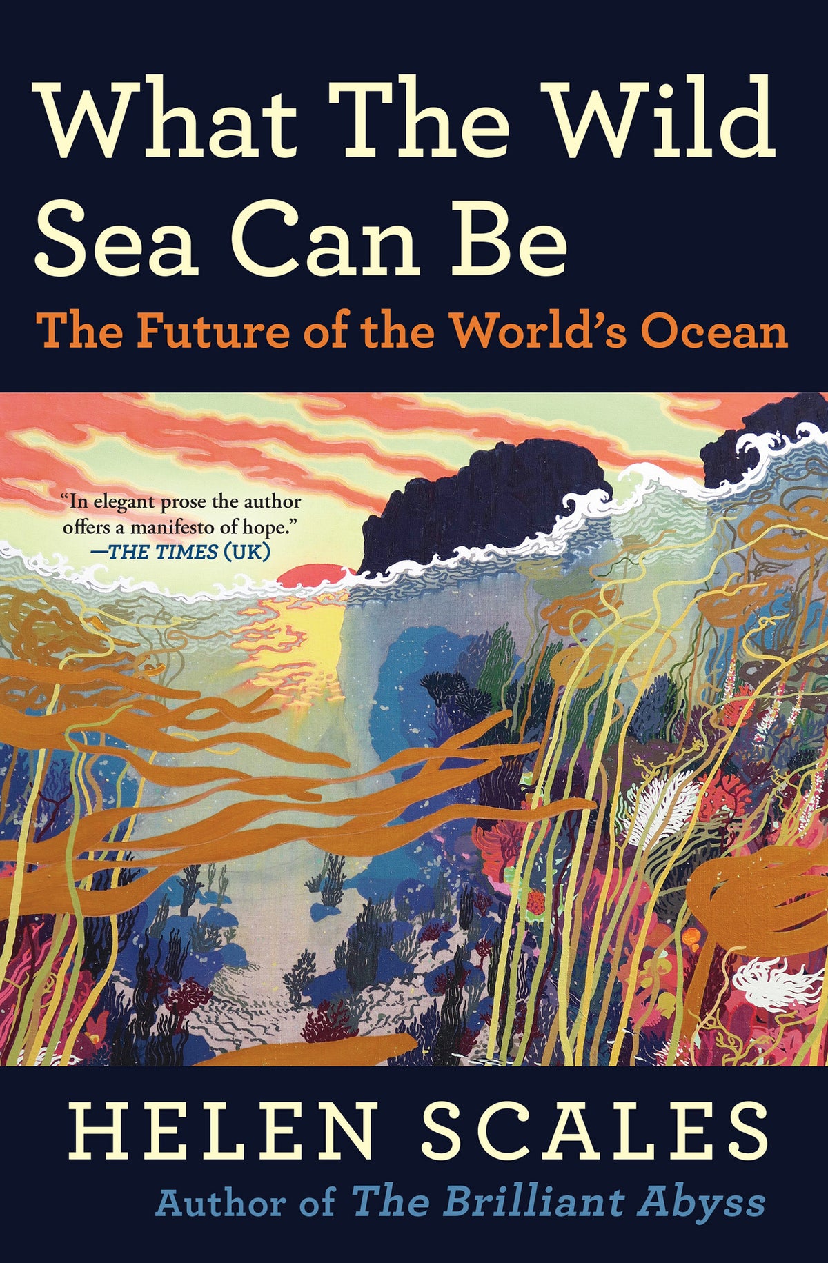 What the Wild Sea Can Be