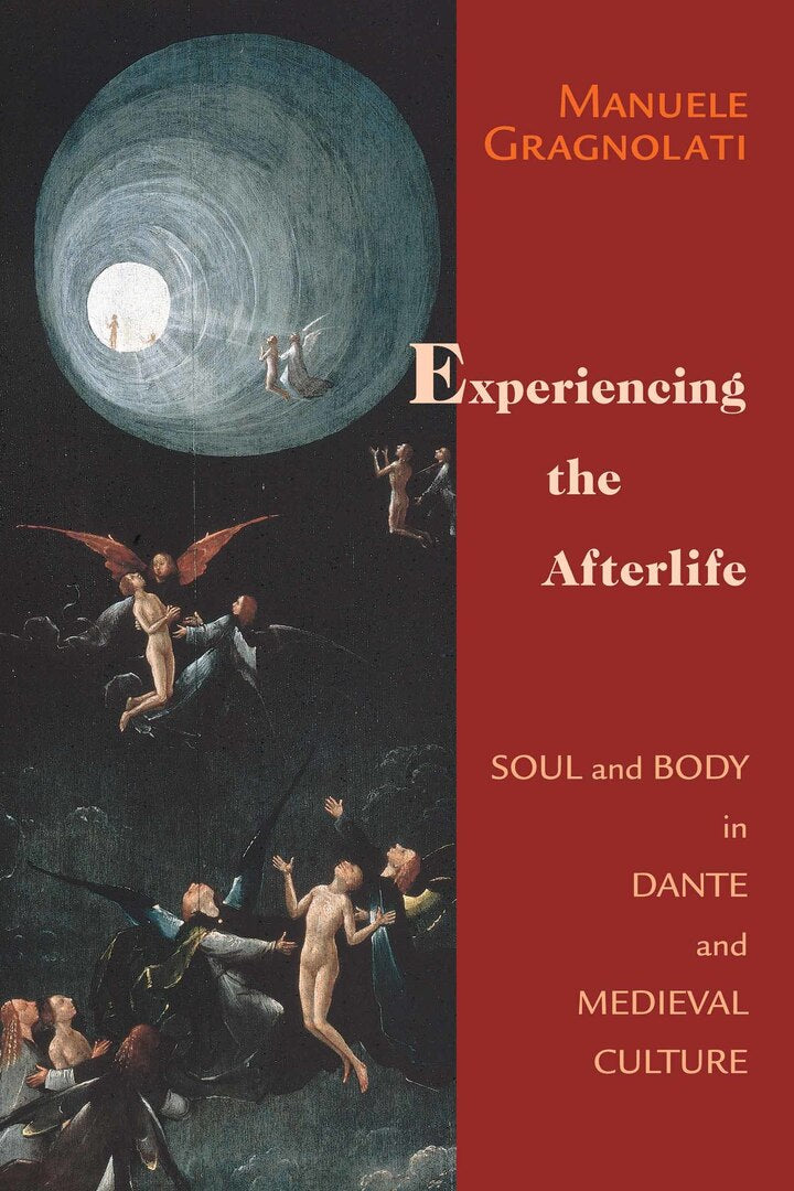 Cover image for Experiencing the Afterlife ISBN 9780268029654