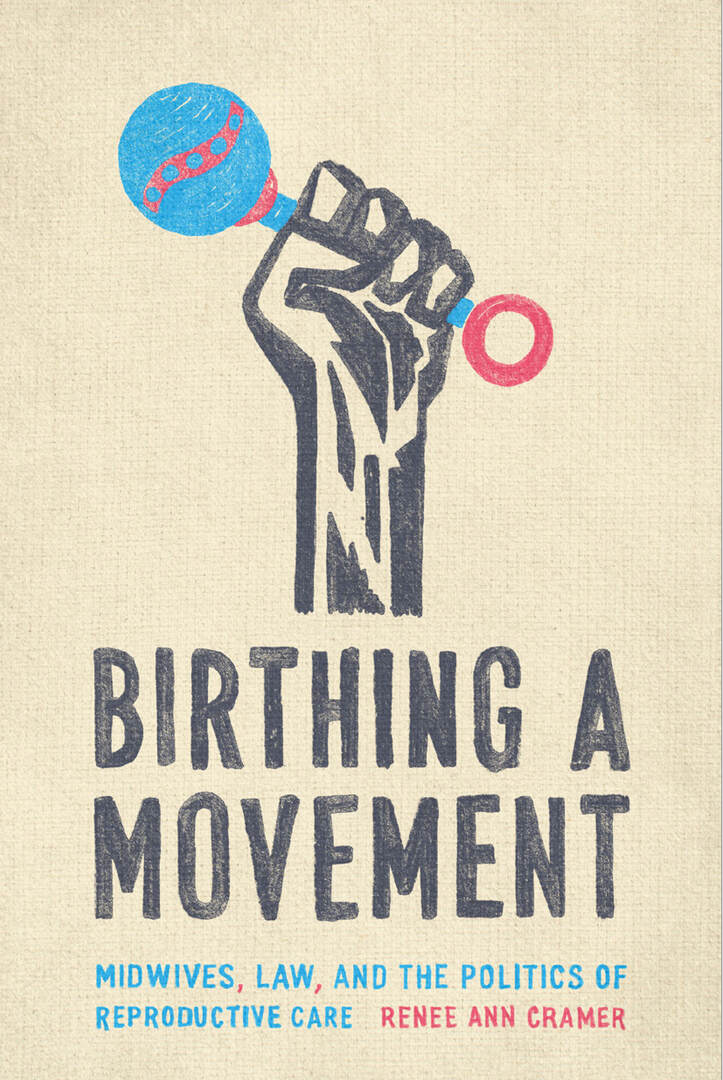 Cover image for Birthing a Movement ISBN 9781503614499