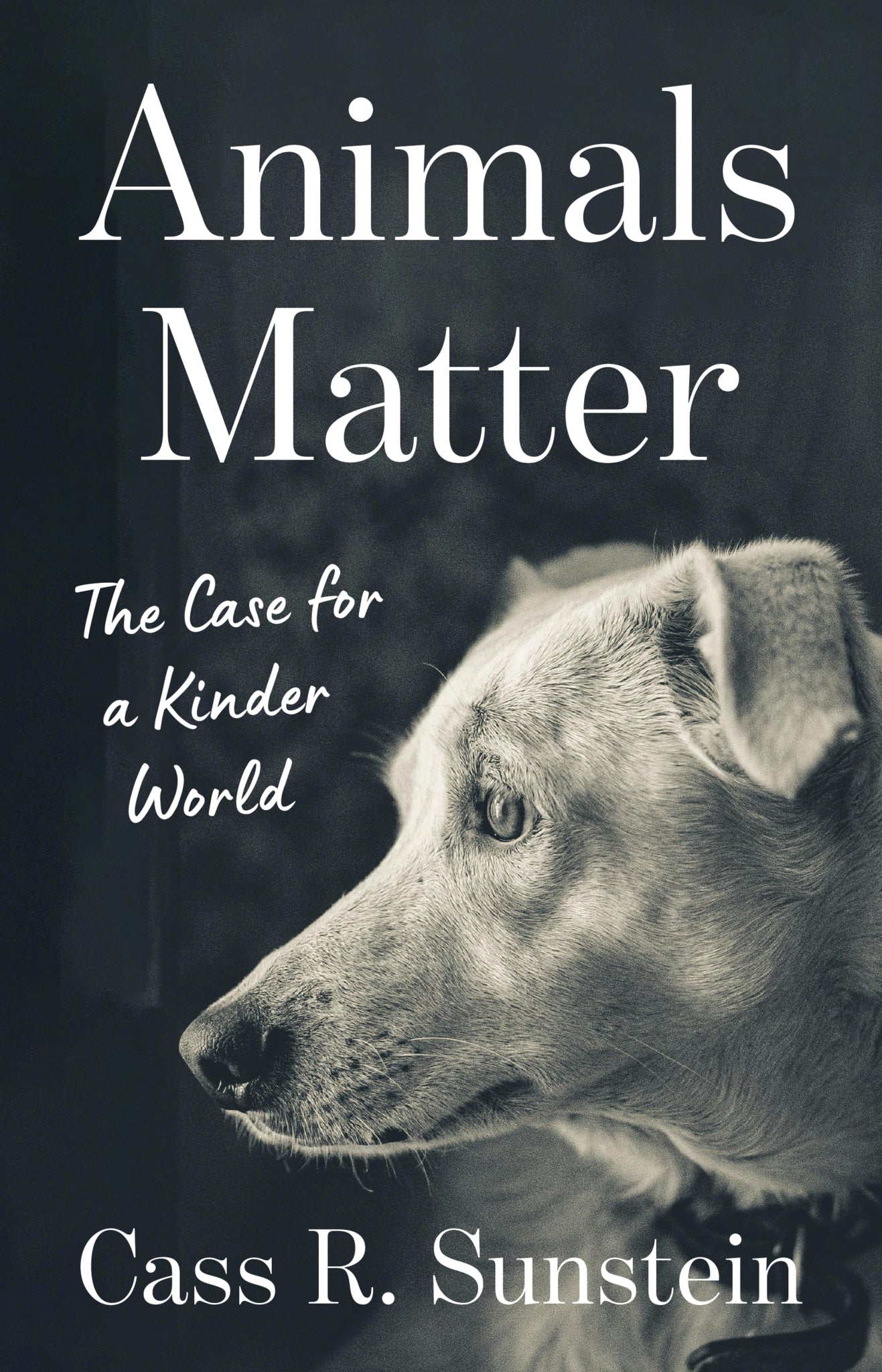 Animals Matter