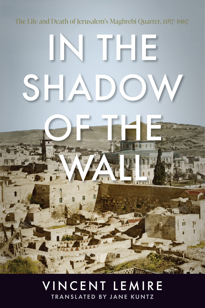 Cover image for In the Shadow of the Wall ISBN 9781503634206