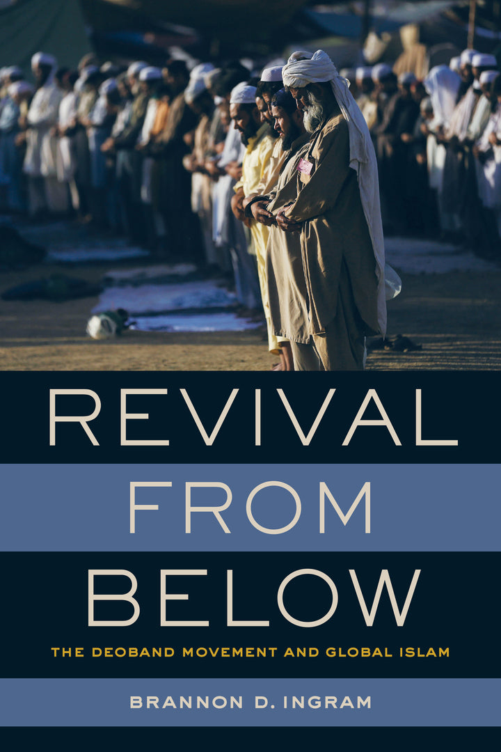 Cover image for Revival from Below ISBN 9780520298002