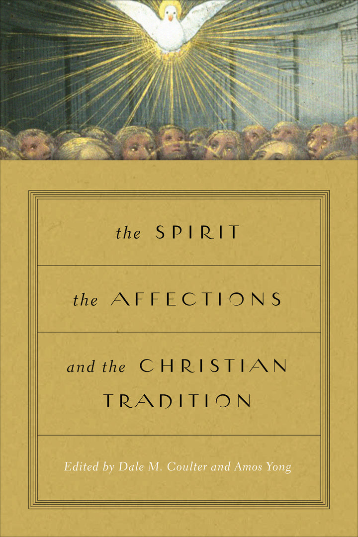 Cover image for The Spirit, the Affections, and the Christian Tradition ISBN 9780268100049