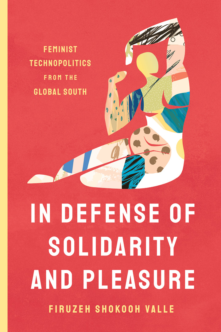 Cover image for In Defense of Solidarity and Pleasure ISBN 9781503636149