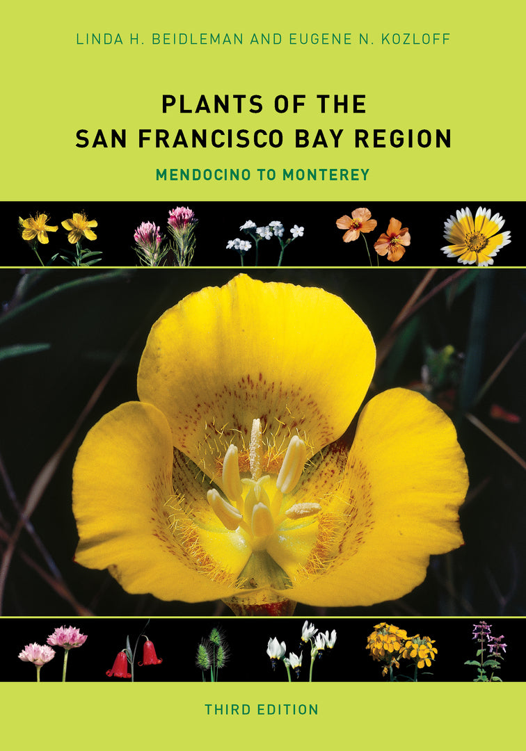 Cover image for Plants of the San Francisco Bay Region ISBN 9780520278592