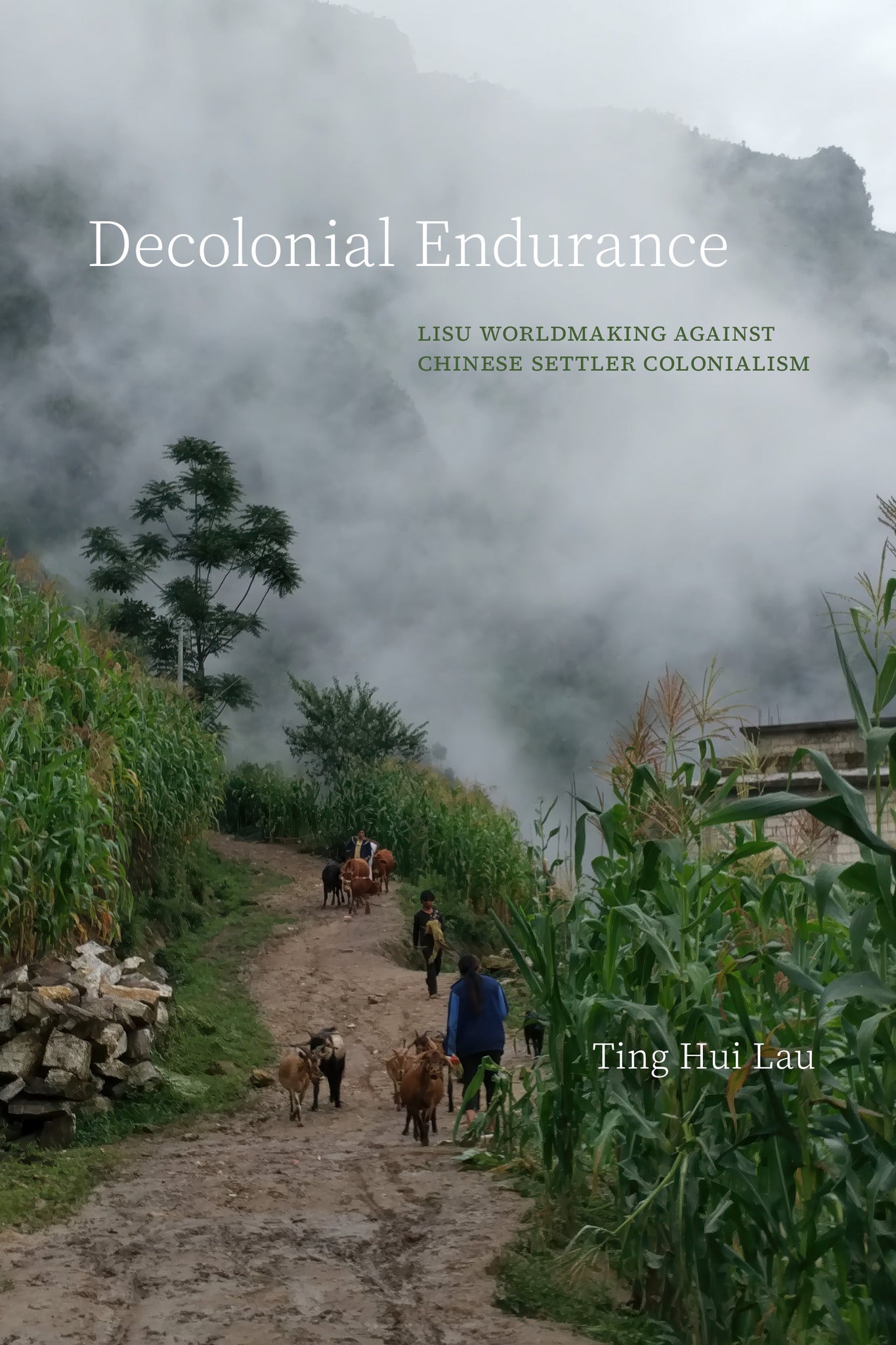 Decolonial Endurance