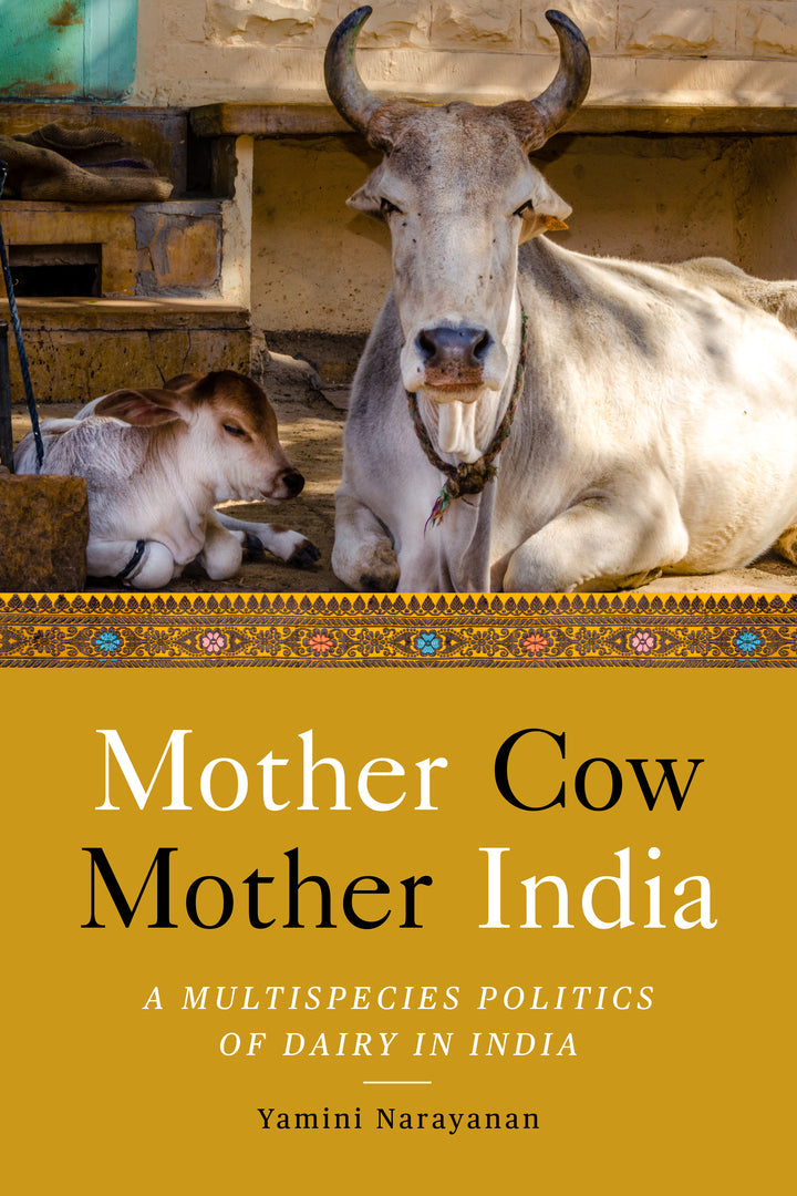 Cover image for Mother Cow, Mother India ISBN 9781503634374