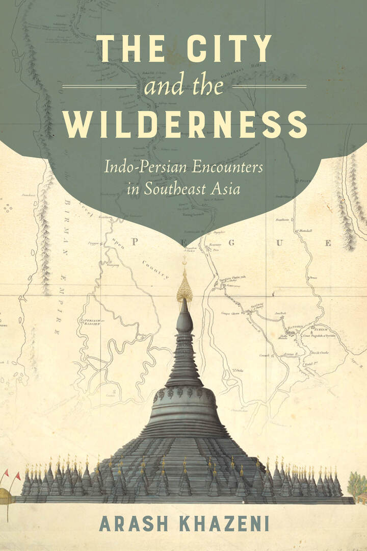 Cover image for The City and the Wilderness ISBN 9780520289697