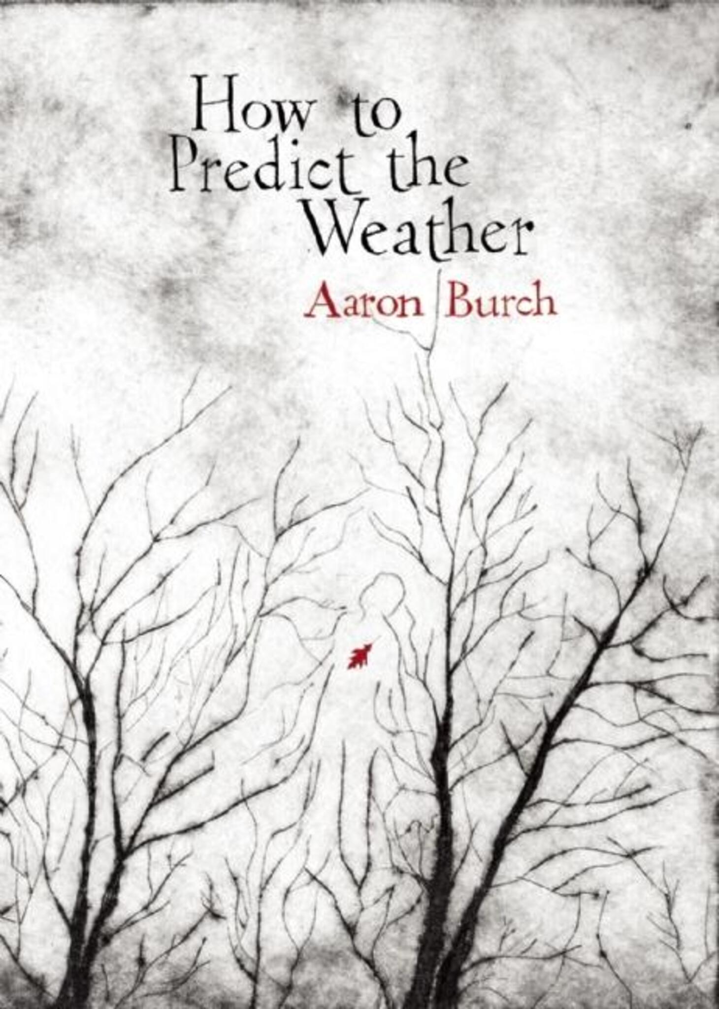 How to Predict the Weather