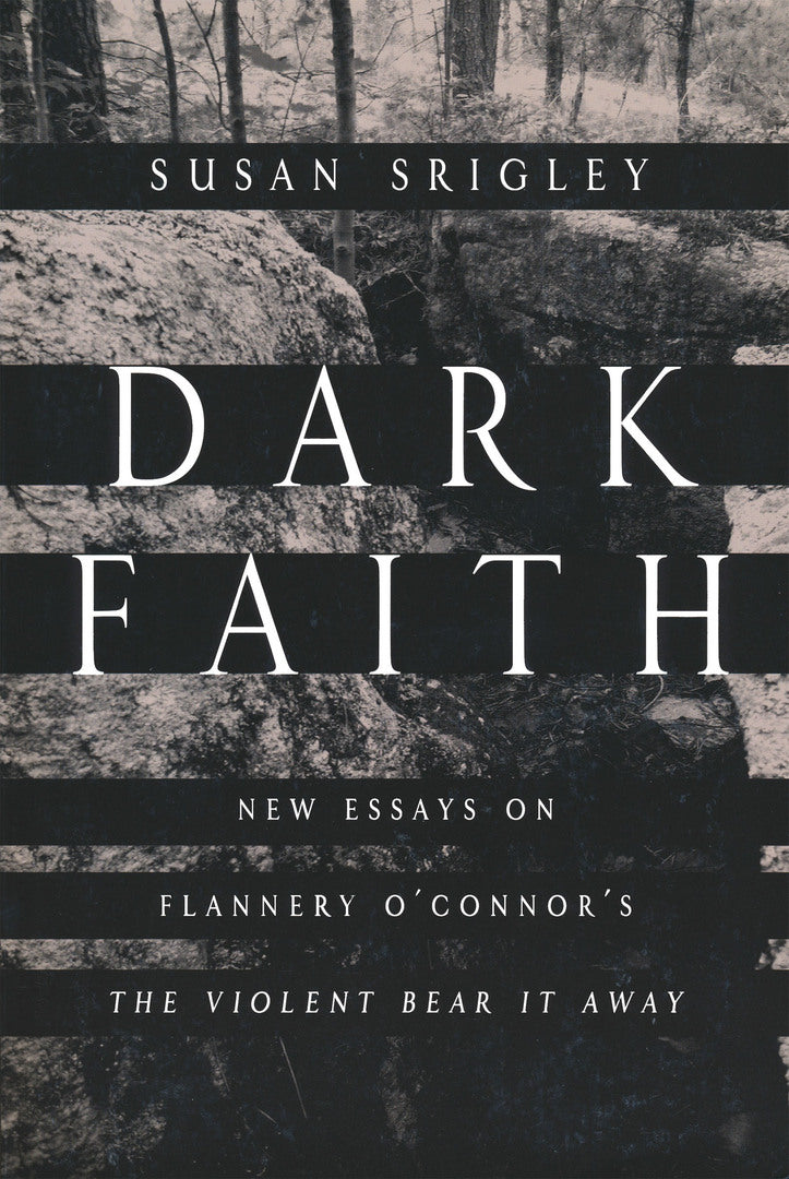 Cover image for Dark Faith ISBN 9780268041380