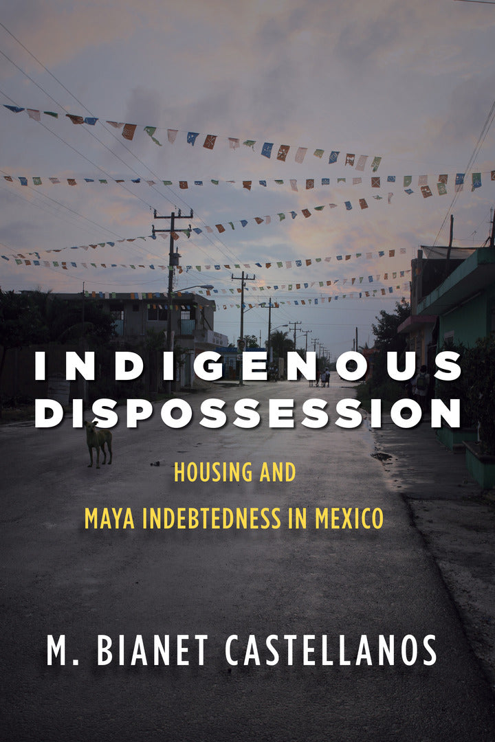 Cover image for Indigenous Dispossession ISBN 9781503614345