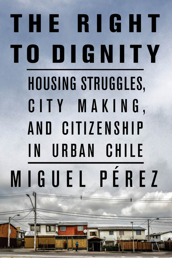 Cover image for The Right to Dignity ISBN 9781503631526