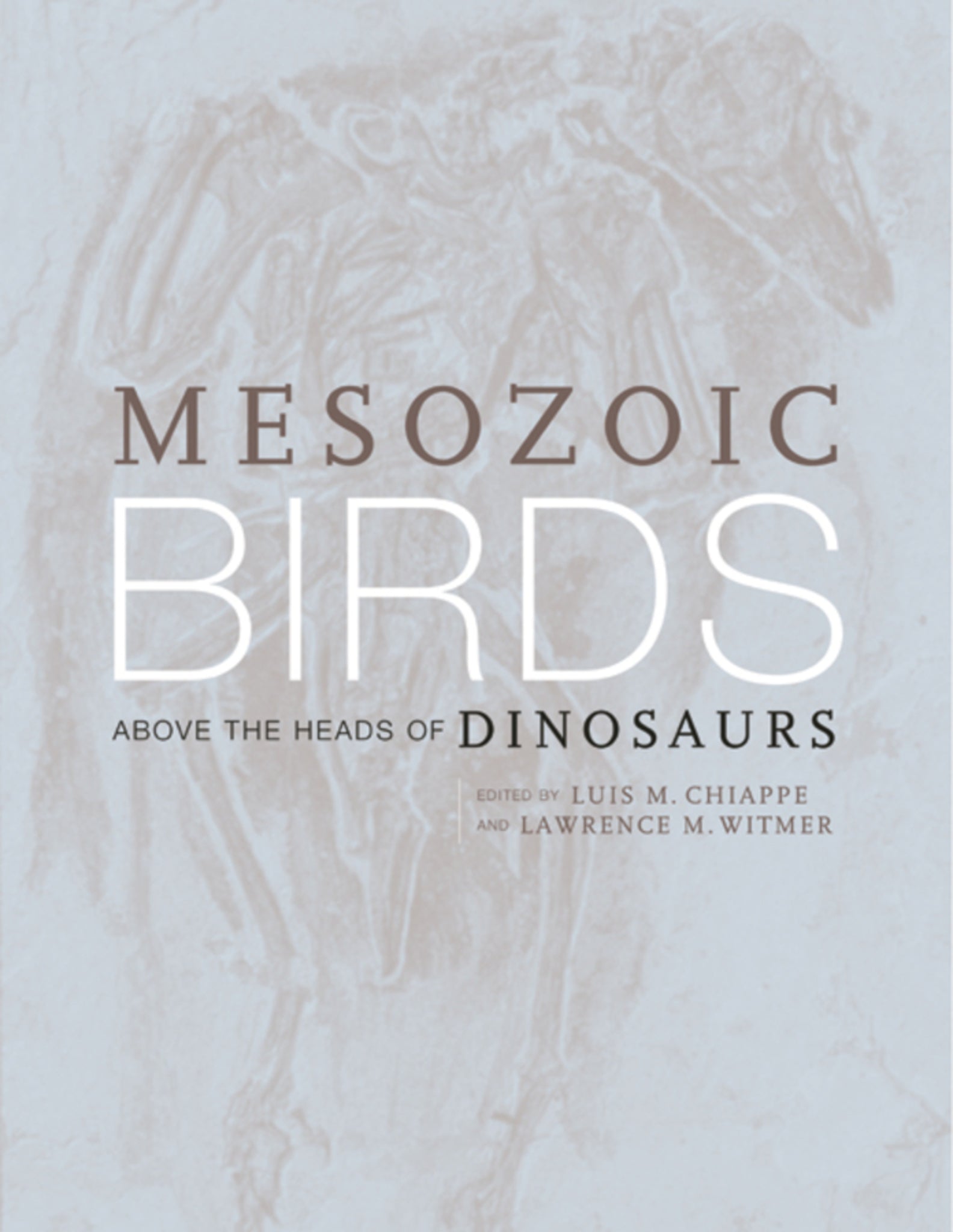 Mesozoic Birds