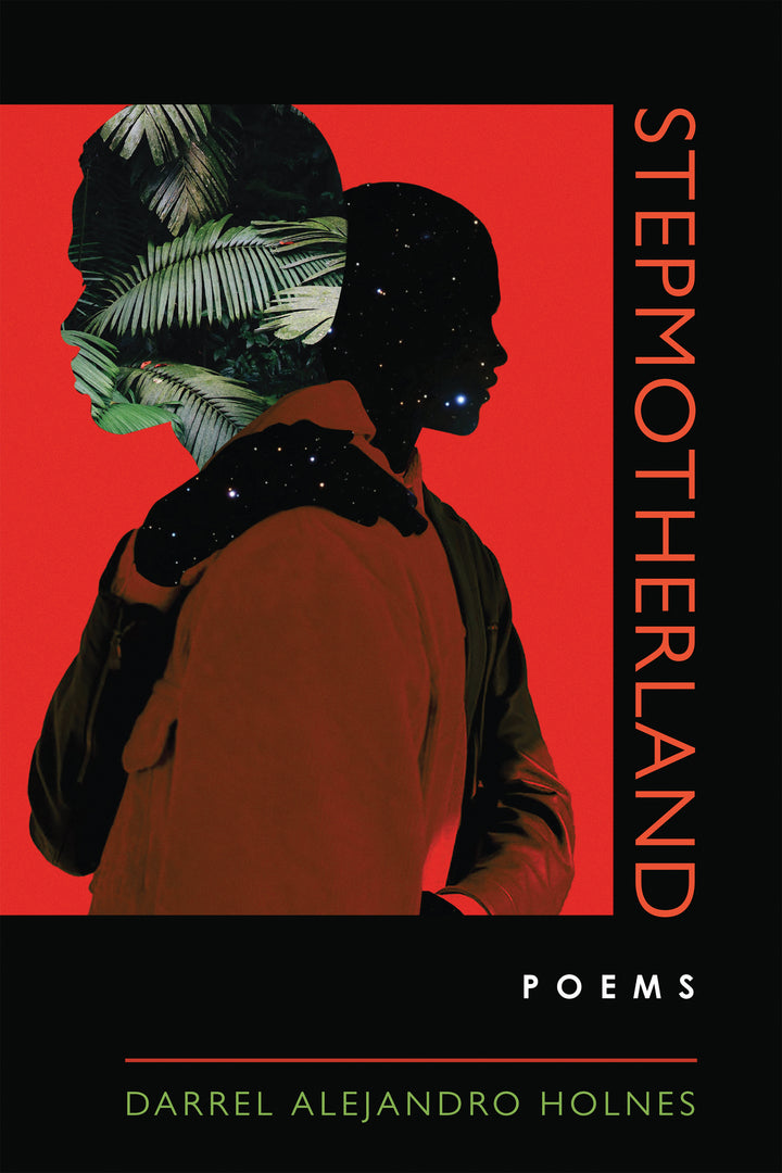 Cover image for Stepmotherland ISBN 9780268202163