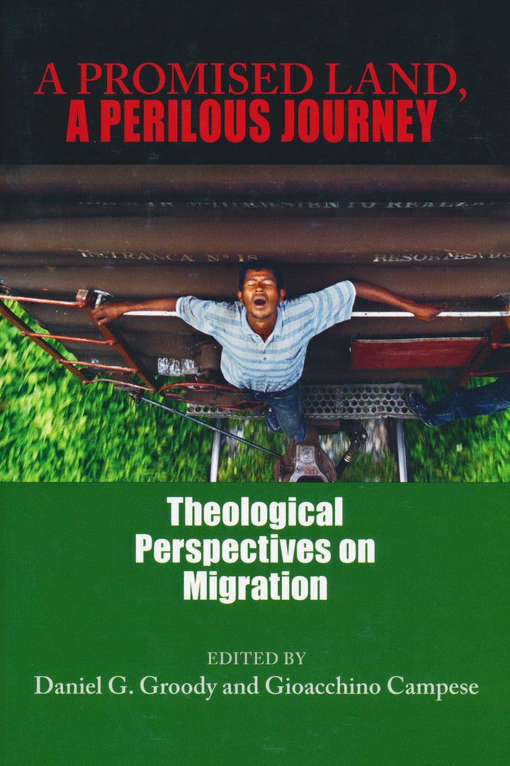 Cover image for A Promised Land, A Perilous Journey ISBN 9780268029739