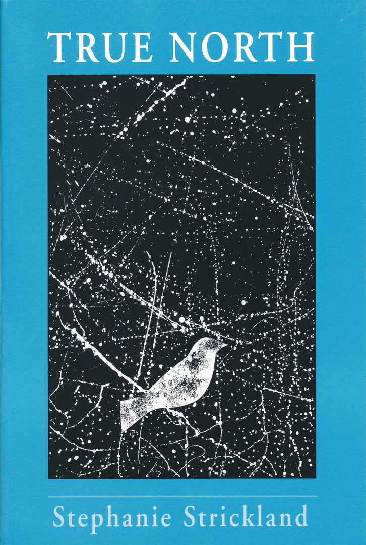 Cover image for True North ISBN 9780268018993