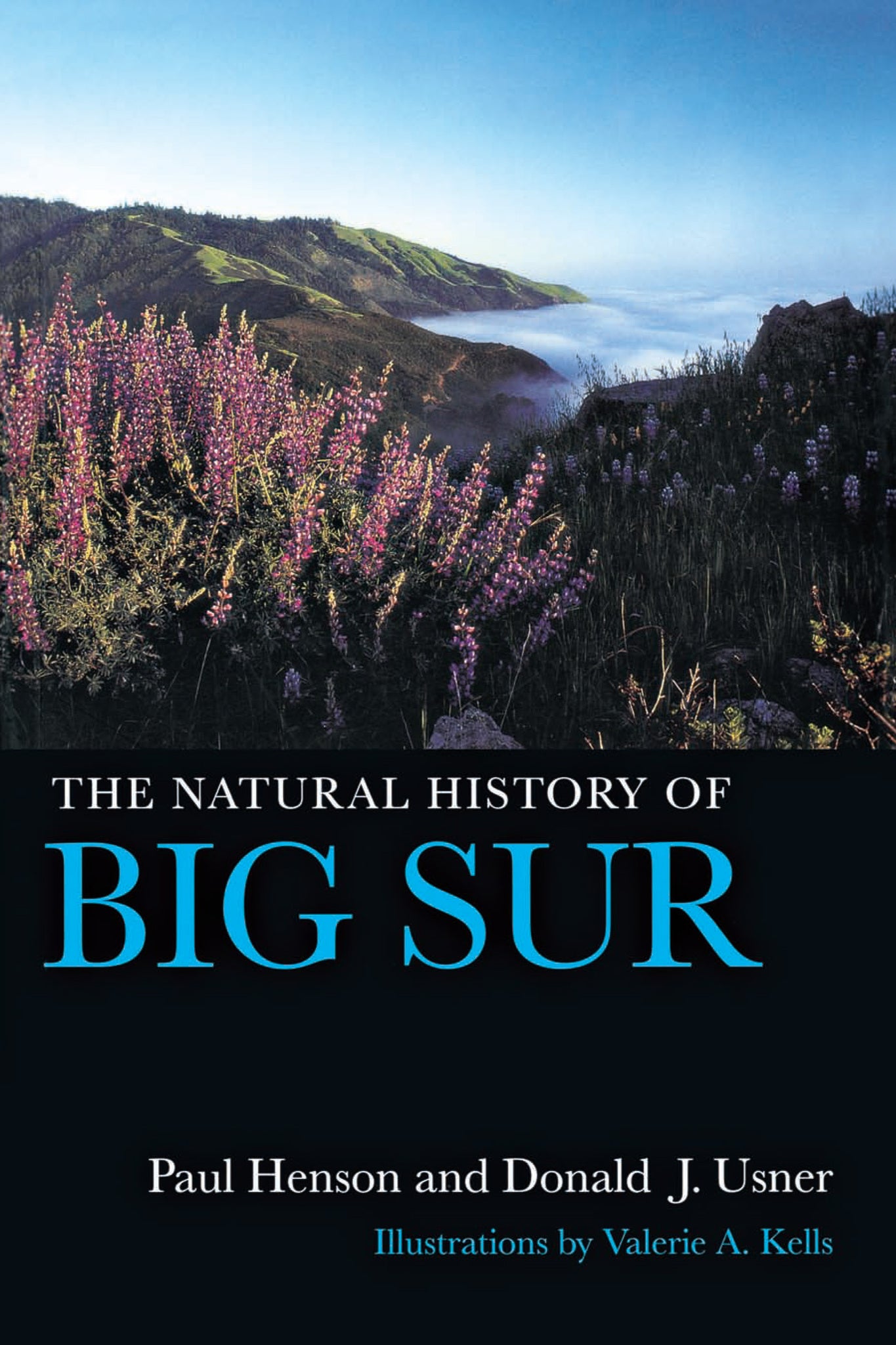 The Natural History of Big Sur