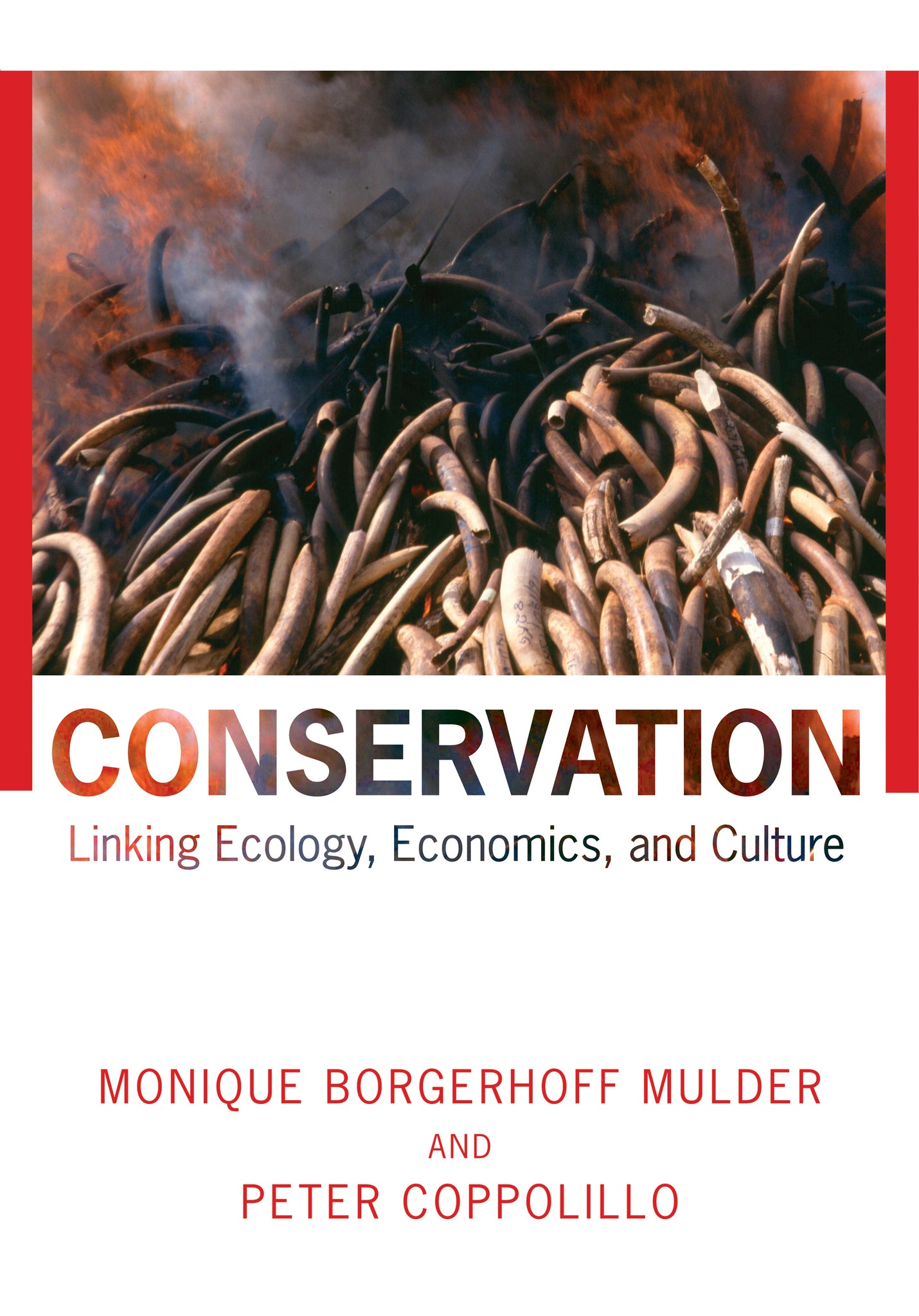 Conservation