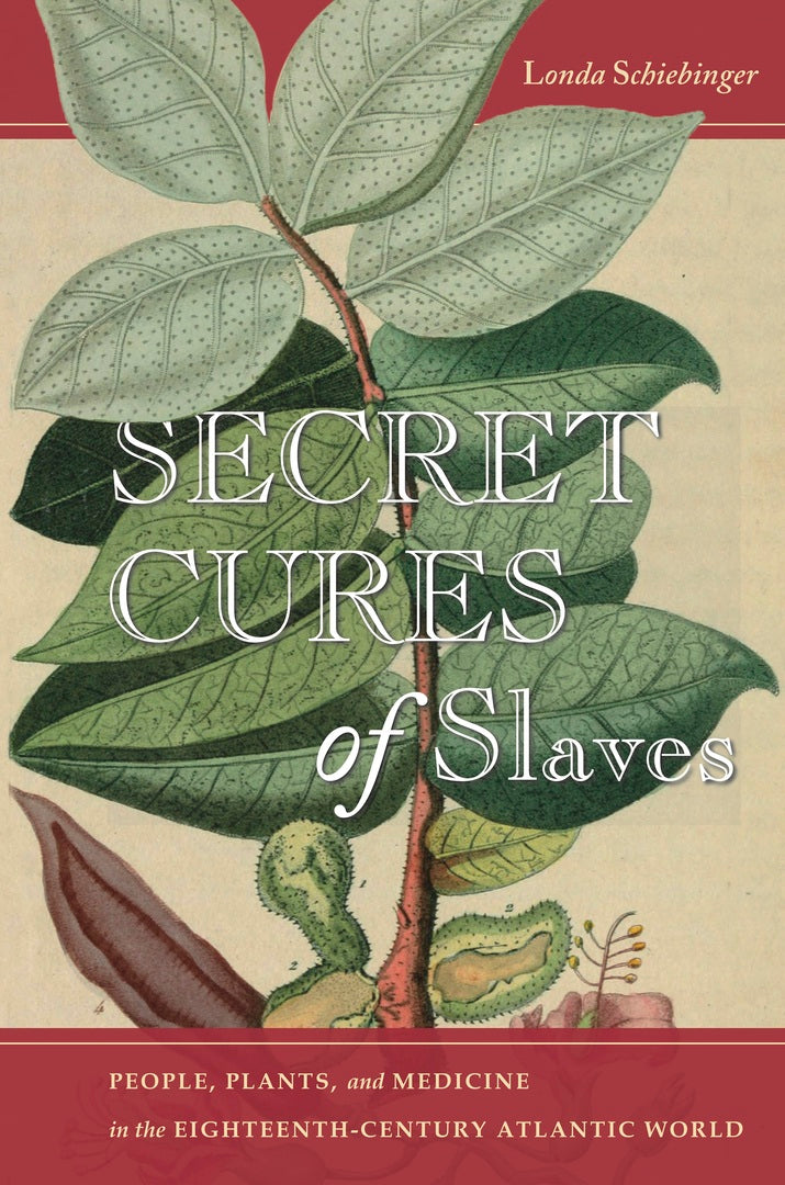 Cover image for Secret Cures of Slaves ISBN 9781503602915