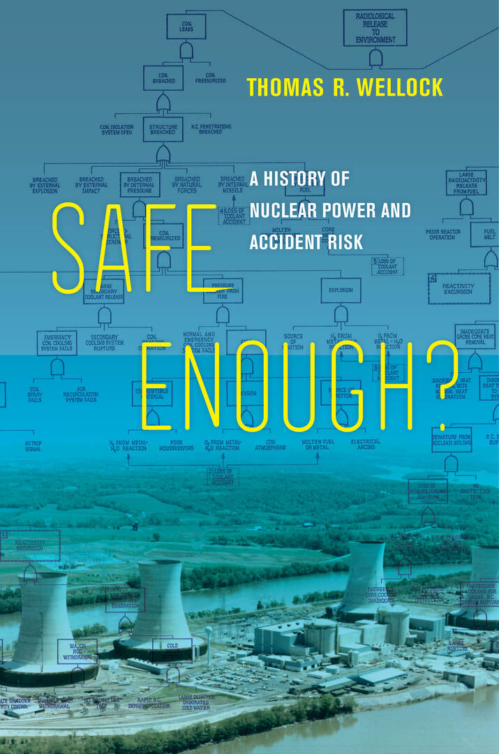 Cover image for Safe Enough? ISBN 9780520381155