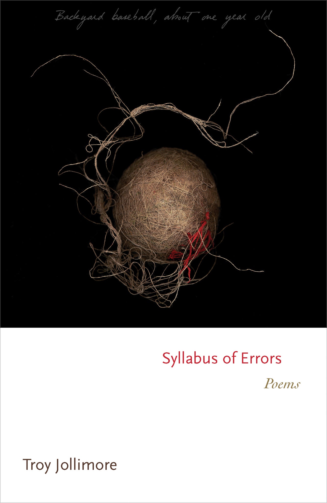 Syllabus of Errors